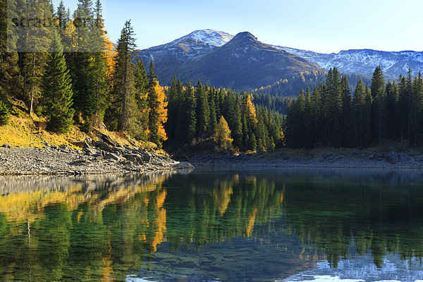 Herbstwald am Obernberger See mit Spiegelung