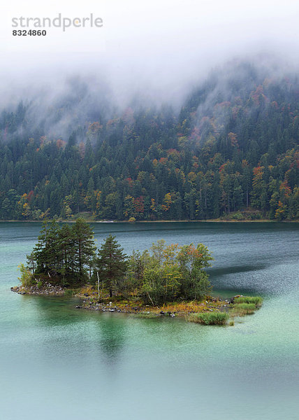 Nebel am Eibsee im Herbst