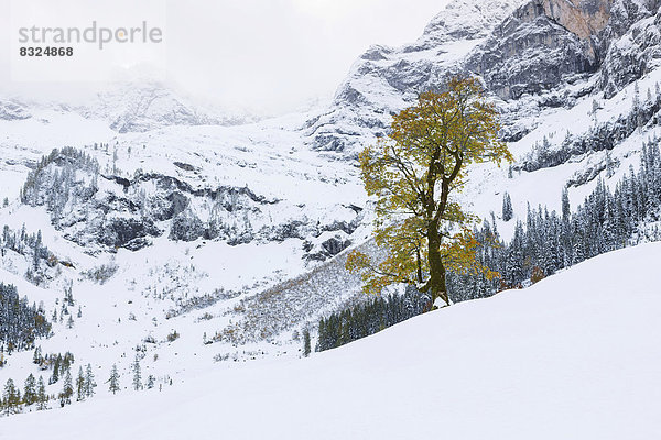 Wintereinbruch im Ahornboden