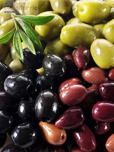 Gemischte schwarze  grüne und Kalamata-Oliven