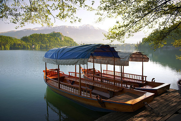 Traditional flat-bottomed wooden boats  called pletna  on Lake Bled