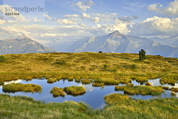 Teich am Melchboden  hinten die Zillertaler Alpen