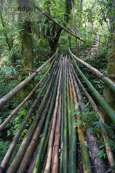 'Bambus-Brücke zur Höhle ''Millennium Cave'''