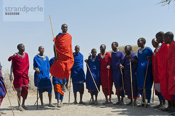 Massai  Gruppe von Männern und Frauen beim Tanz  ein Mann springt