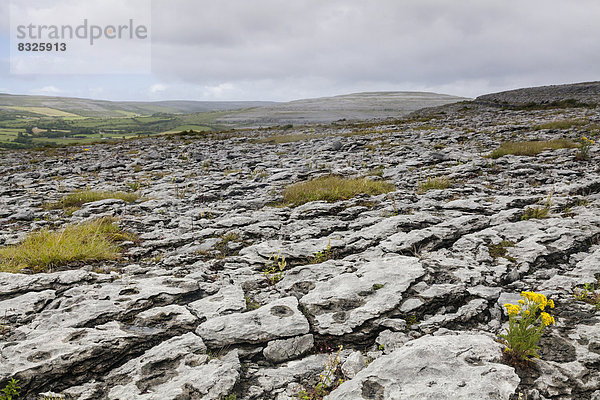 Karge Landschaft mit Felsen