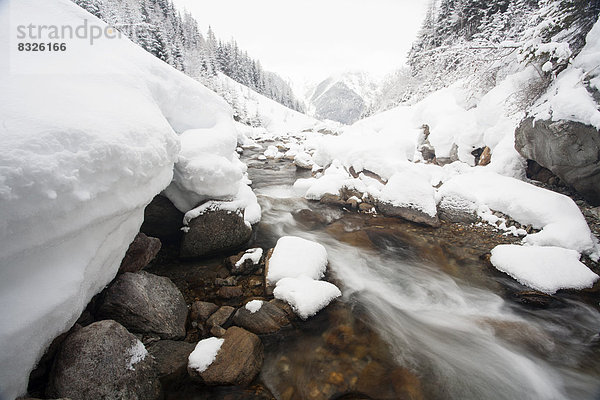 Der Malfonbach im Winter