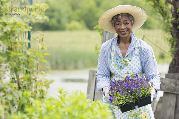 Senior  Senioren  Portrait  Frau  arbeiten  Garten