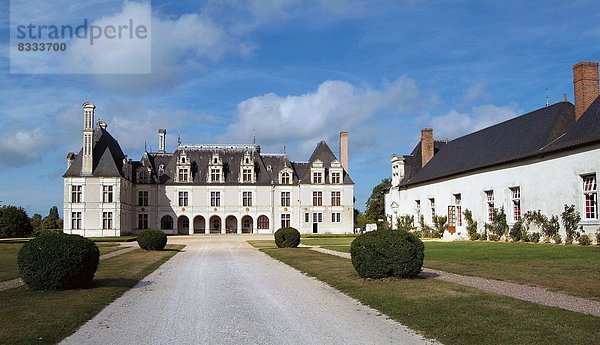 Palast  Schloß  Schlösser  Tal  Loire