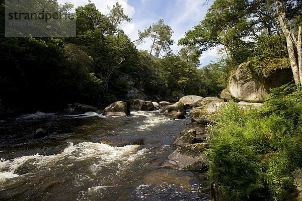 Felsbrocken  Fluss