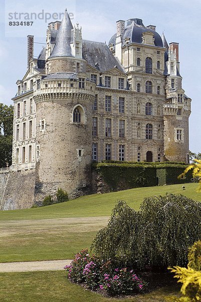 Mittelalter  Frankreich  Lifestyle  Boden  Fußboden  Fußböden  Palast  Schloß  Schlösser  Tal  mischen  Mittelpunkt  bauen  7  sieben  hoch  oben  Loire  Jahrhundert