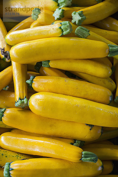 Bio-Gemüse auf einem Bauernhofstand. Haufen frischer Zucchini.