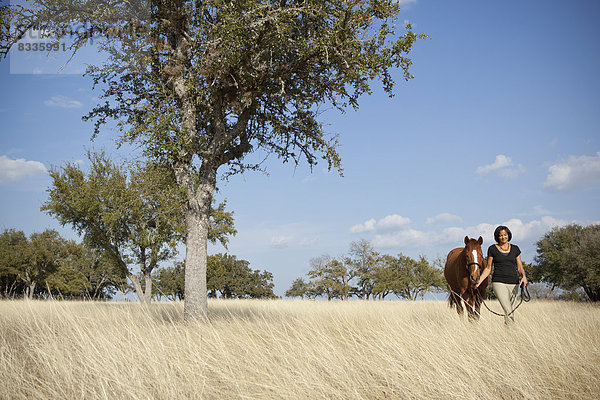 Eine Frau führt ein Pferd am Halfter durch das lange Gras auf einem Feld.