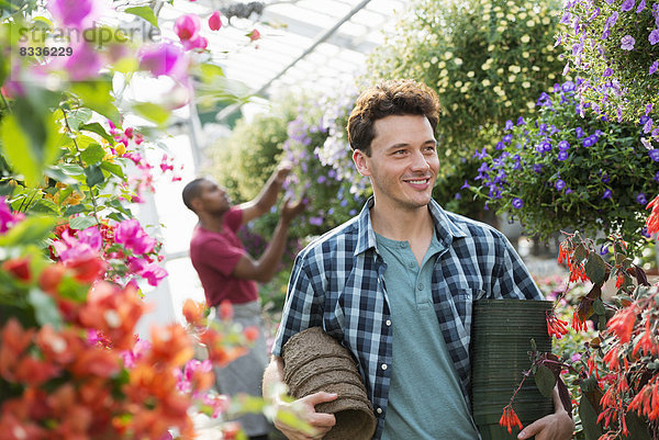 Ein kommerzielles Gewächshaus in einer Gärtnerei  die biologische Blumen anbaut. Ein Mann  der arbeitet und Töpfe trägt.