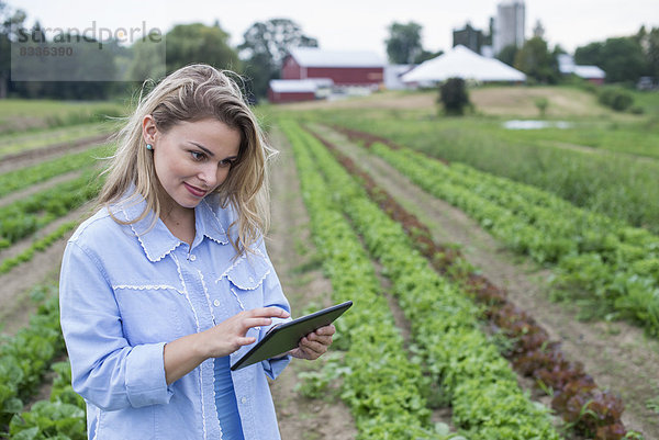 Ein Biobetrieb  der Gemüse anbaut. Eine Frau auf dem Feld inspiziert den Salatanbau mit Hilfe eines digitalen Tabletts.