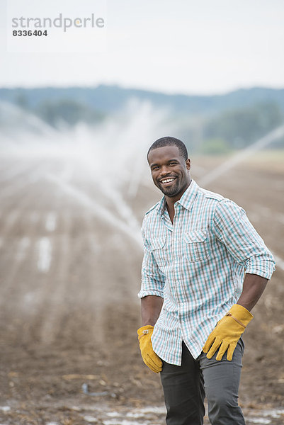 Eine biologische Gemüsefarm mit Wassersprinklern zur Bewässerung der Felder. Ein Mann in Arbeitskleidung.