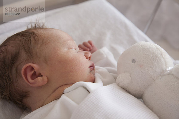 Ein neugeborenes Baby liegt auf dem Rücken und schläft. Ein Spielzeug in seinem Kinderbett.