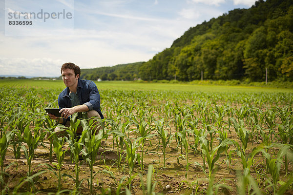 Ein Landwirt  der auf seinen Feldern im Staat New York  USA  arbeitet.