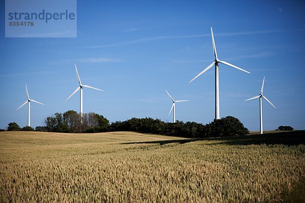 Windturbine Windrad Windräder Feld Fokus auf den Vordergrund Fokus auf dem Vordergrund