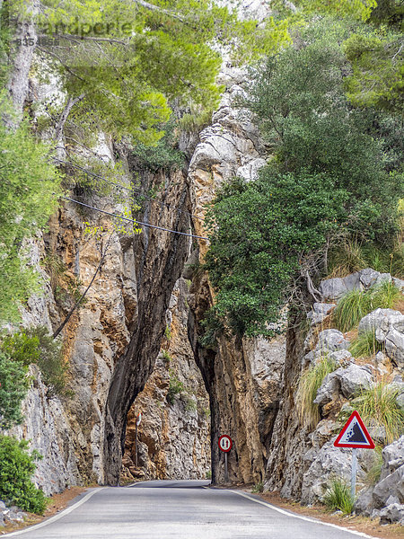 Straße durch eine Felsschlucht verengt sich  Sa Calobra  Serra de Tramuntana  Mallorca  Balearen  Spanien