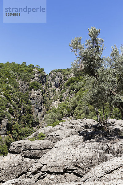 Schlucht  Taurusgebirge  Köprülü-Kanyon-Nationalpark  Provinz Antalya  Türkei