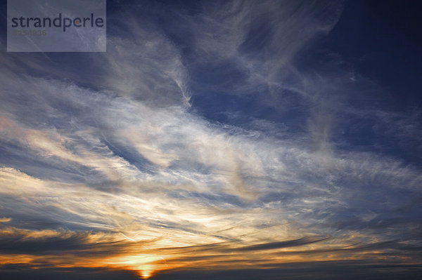 Federwolken (Cirrus) mit untergehender Sonne  Mittelfranken  Bayern  Deutschland