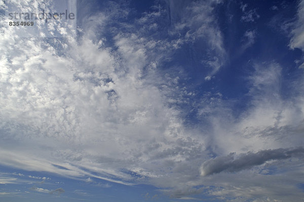 Federwolken  Cirrus-Wolken