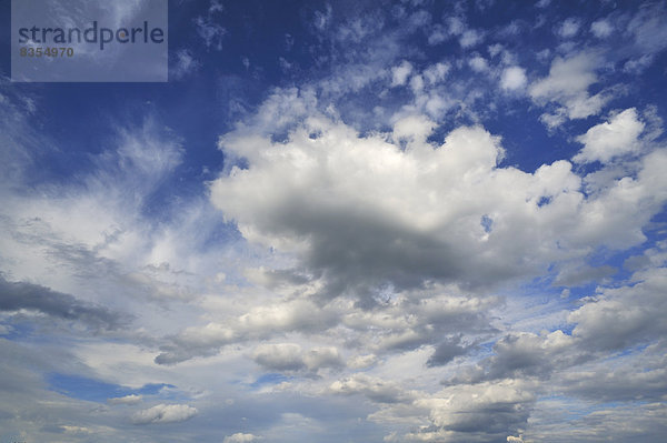 Federwolken oder Cirrus-Wolken und Haufenwolken oder Cumulus