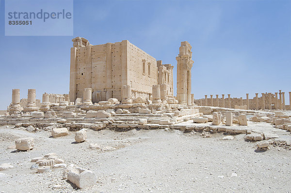 Tempel des Baal  Ruinen in der antiken Stadt Palmyra  Palmyra  Tadmur  Distrikt Palmyra  Gouvernement Homs  Syrien