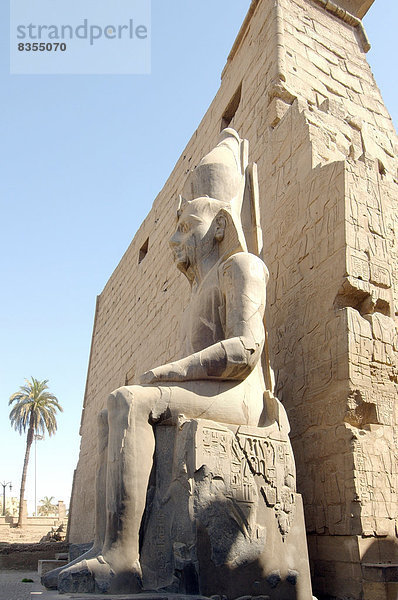 Statue von Ramses II.  Luxor-Tempel  UNESCO-Weltkulturerbe  Theben  Luxor  Gouvernement Luxor  Ägypten