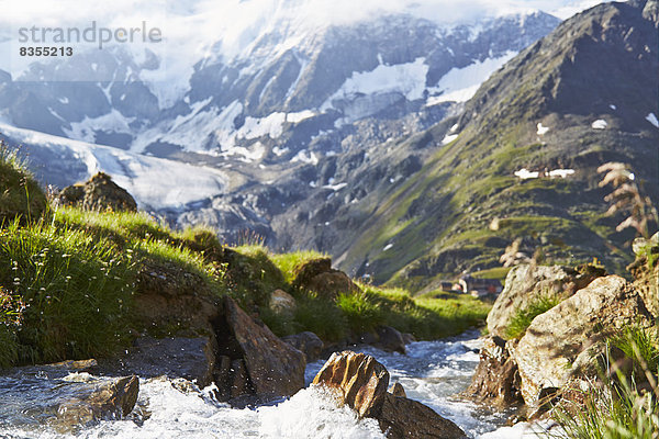 Gebirgsbach im Pitztal  Tirol  Österreich