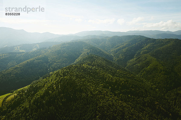 Bewaldete Berghänge im Hochschwarzwald mit Blauen im Hintergrund  Münstertal  Baden-Württemberg  Deutschland