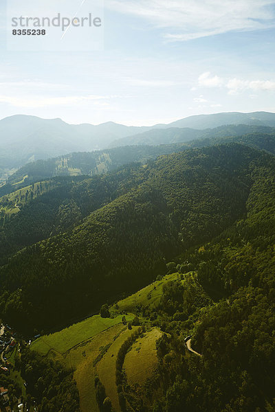 Bewaldete Berghänge im Hochschwarzwald mit Blauen im Hintergrund  Münstertal  Baden-Württemberg  Deutschland