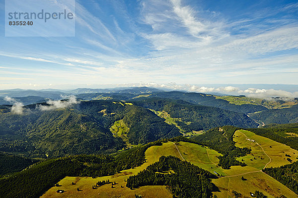 Weideland und Wald im Schwarzwald  Oberried  Baden-Württemberg  Deutschland