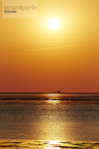 Sonnenuntergang über dem Wattenmeer  Insel Pellworm  Deutschland