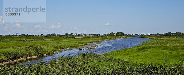 Landschaft auf der Insel Pellworm  Deutschland