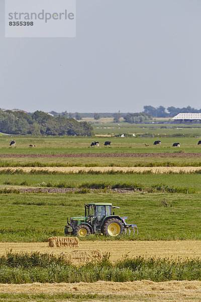 Traktor auf dem Feld  Insel Pellworm  Deutschland