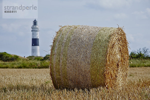 Strohballen beim Leuchtturm Kampen  Sylt  Deutschland