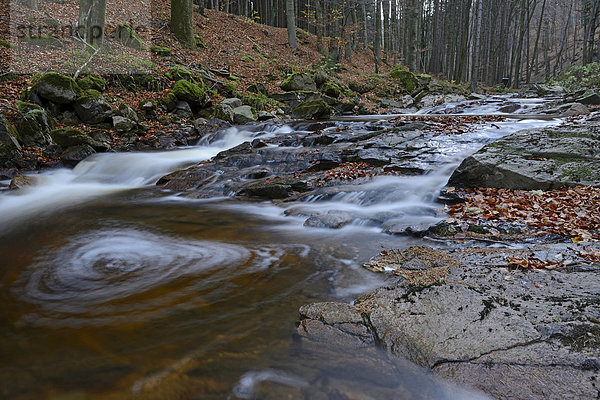 Der Fluss Ilse im Ilsetal  Nationalpark Harz  Sachsen-Anhalt  Deutschland