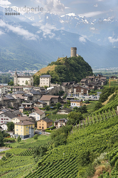 Hügel Weinberg Schweiz Kanton Wallis
