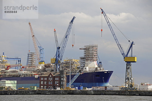 Reparaturhafen  Schiffswerft im Hafen  Hamburg  Deutschland