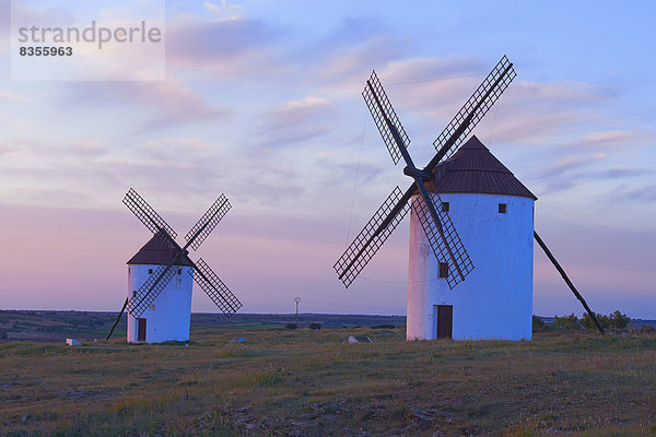 Windmühlen  Don-Quijote-Route  Mota del Cuervo  Kastilien-La Mancha  Spanien
