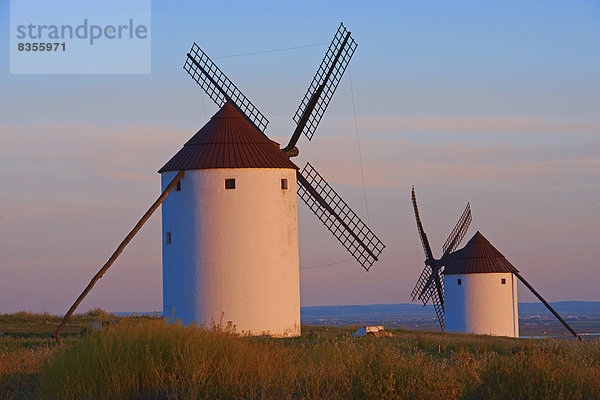 Windmühlen  Don-Quijote-Route  Mota del Cuervo  Kastilien-La Mancha  Spanien