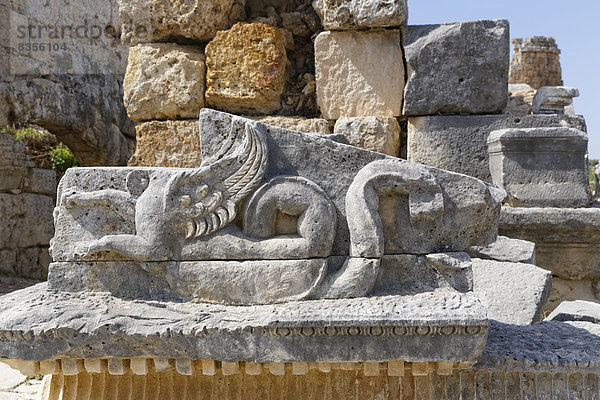 Steinrelief  antike Stadt Perge  Perge  Aksu  Türkische Riviera  Provinz Antalya  Mittelmeerregion  Türkei