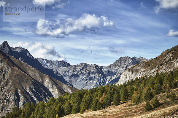 Das Tal Val Viera  links der Berg Cima Cavalli  bei Livigno  Provinz Sondrio  Lombardei  Italien