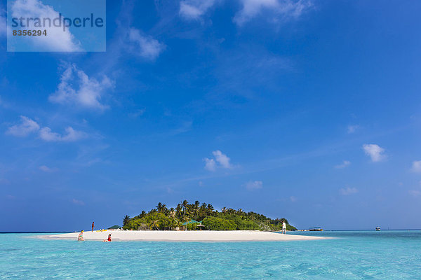 Strand  Insel Embudu  Süd-Malé-Atoll  Malediven