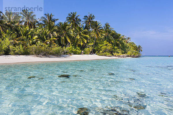 Strand mit Palmen  Insel Embudu  Süd-Malé-Atoll  Malediven