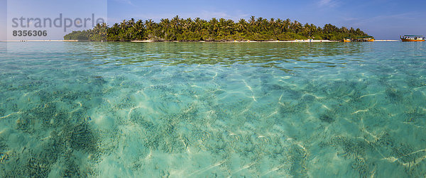 Insel Embudu  Süd-Malé-Atoll  Malediven