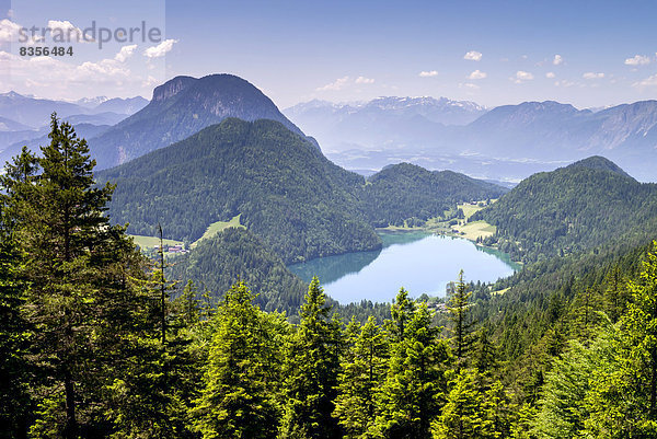 Ausblick vom Wilder-Kaiser-Steig auf den Hintersteiner See  am Wilden Kaiser  Kaisergebirge  bei Ellmau  Tirol  Österreich