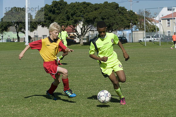 Südliches Afrika Südafrika jung spielen Western Cape Westkap