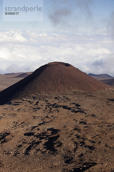 Krater  unterhalb des Mauna Kea Vulkans  Big Island  Hawaii  USA